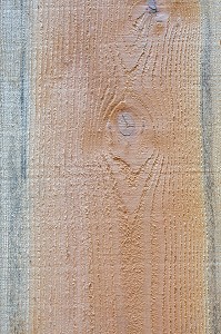 PAIN DOUGLAS, PSEUDOTSUGA MENZIESII 