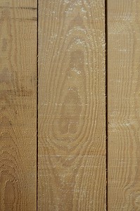 PIN D'AMERIQUE, YELLOW PINE, PINUS SPP 