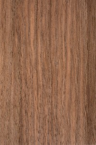 NOYER PARQUET, JUGLANS REGIA 