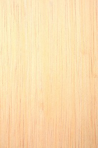 RAMIN, GONYSTYLUS SPP 