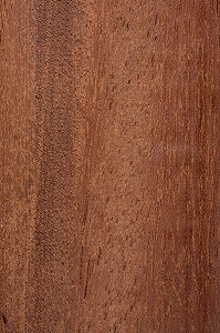 TATAJUBA BAGASSE AMERIQUE DU SUD, BAGASSA GUIANENSIS 