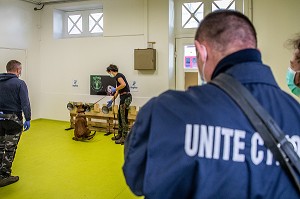 EXPERIMENTATION SUR LA DETECTION DU COVID 19 PAR DES CHIENS SAPEURS POMPIERS  ECOLE VETERINAIRE, MAISONS-ALFORT, VAL DE MARNE, ILE DE FRANCE, FRANCE, EUROPE 