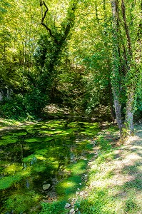 SOURCE, SITE ARCHEOLOGIQUE D’ESCOLIVES SAINTE CAMILLE, YONNE, BOURGOGNE, FRANCE 