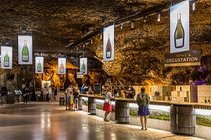 CAVES BAILLY LAPIERRE, ANCIENNES CARRIERES DE PIERRE QUI ABRITENT AUJOURD’HUI UNE PRODUCTION DE CREMANT DE BOURGOGNE, BERCEAU DE L’AOC EN 1975, SAINT BRIS LE VINEUX, YONNE, BOURGOGNE, FRANCE 