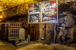 CAVES BAILLY LAPIERRE, ANCIENNES CARRIERES DE PIERRE QUI ABRITENT AUJOURD’HUI UNE PRODUCTION DE CREMANT DE BOURGOGNE, BERCEAU DE L’AOC EN 1975, SAINT BRIS LE VINEUX, YONNE, BOURGOGNE, FRANCE 