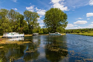 CANAL DU NIVERNAIS, PORT DE MAILLY LE CHATEAU, YONNE, BOURGOGNE, FRANCE 