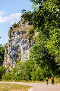 SENTIER DE DECOUVERTE DE FOSSILES DE CORAUX DE PRES DE 150 000 D’ANNEES FIGES DANS LA PIERRE, RESERVE NATURELLE DU BOIS DU PARC, ZONE NATURA 2000, MERRY SUR YONNE, YONNE, BOURGOGNE, FRANCE 