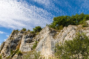 SENTIER DE DECOUVERTE DE FOSSILES DE CORAUX DE PRES DE 150 000 D’ANNEES FIGES DANS LA PIERRE, RESERVE NATURELLE DU BOIS DU PARC, ZONE NATURA 2000, MERRY SUR YONNE, YONNE, BOURGOGNE, FRANCE 