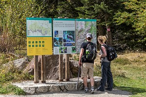 RANDONNEURS, VALLEE DE CAUTERETS, HAUTES PYRENEES, MIDI PYRENEES, OCCITANIE, FRANCE 