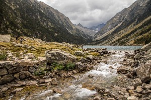 LAC DE GAUBE, CAUTERETS, HAUTES PYRENEES, MIDI PYRENEES, OCCITANIE, FRANCE 