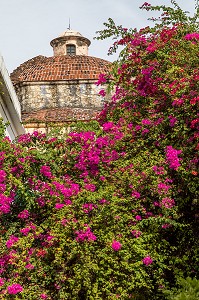 BOUGAINVILLIERS ET DOME, QUARTIER COLONIAL, CLASSE AU PATRIMOINE MONDIAL DE L'UNESCO, SAINT DOMINGUE, SANTO DOMINGO, REPUBLIQUE DOMINICAINE 