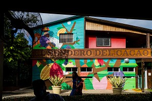 PLANTATION DE CACAO, EL SENDERO DEL CACAO, HACIENDA LA ESMERALDA LAS PAJAS, SAN FRANCISCO DE MACORIS, REPUBLIQUE DOMINICAINE 