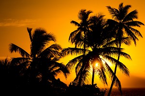 LEVER DE SOLEIL SUR LE MALECON DE SAINT DOMINGUE, SANTO DOMINGO, REPUBLIQUE DOMINICAINE 