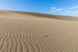 DUNES DE BANI, DUNAS DE BANI, PENINSULE DE LAS CALDERAS, REPUBLIQUE DOMINICAINE 