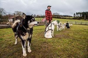 REMI AVICE, MUSHER DE CHIENS DE TRAINEAU, TAÏGA AVENTURE, LE REDONDET, CISTERNES LA FORET, (63) PUY DE DOME, AUVERGNE 