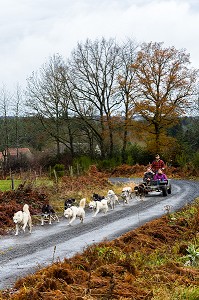 REMI AVICE, MUSHER DE CHIENS DE TRAINEAU, TAÏGA AVENTURE, LE REDONDET, CISTERNES LA FORET, (63) PUY DE DOME, AUVERGNE 