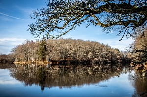 ETANG DU CHEIX, LE CHEIX, BIOLLET, (63) PUY DE DOME, AUVERGNE 