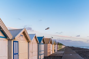 CHEMIN DE PLANCHES, PLAGE DE CAYEUX SUR MER, SOMME, PICARDIE, HAUT DE FRANCE, FRANCE, EUROPE 