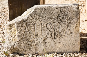 VESTIGE DE LA VILLE GALLO ROMAINE, ALISE SAINTE REINE, ALESIA, (21) COTE-D'OR, BOURGOGNE, FRANCE 