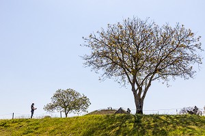 VISITE EN REALITE AUGMENTE 3D, VESTIGE DE LA VILLE GALLO ROMAINE, ALISE SAINTE REINE, ALESIA, (21) COTE-D'OR, BOURGOGNE, FRANCE 