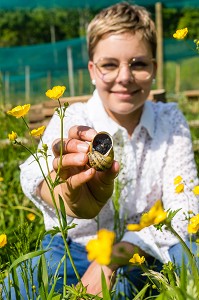 PERRINE DOUDIN, HELIXINE, HELICICULTRICE, PRODUCTRICE D'ESCARGOTS BIO, FLAVIGNY SUR OZERAIN, (21) COTE-D'OR, BOURGOGNE, FRANCE 