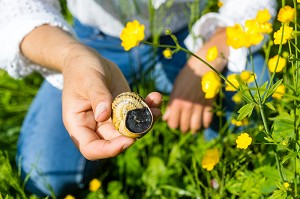 PERRINE DOUDIN, HELIXINE, HELICICULTRICE, PRODUCTRICE D'ESCARGOTS BIO, FLAVIGNY SUR OZERAIN, (21) COTE-D'OR, BOURGOGNE, FRANCE 