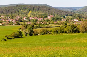 PAYSAGE AUTOUR DE VEZELAY, VILLAGE D'ASQUINS, VILLAGE ET COLLINE ETERNELLE DE VEZELAY, VEZELAY, (89) YONNE, BOURGOGNE, FRANCE 