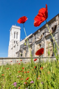 BASILIQUE SAINTE MARIE MADELEINE, VEZELAY, (89) YONNE, BOURGOGNE, FRANCE 