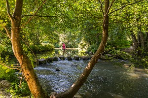 PAS JAPONAIS SUR L'ERVE, SAULGES, (53) MAYENNE, PAYS DE LA LOIRE 