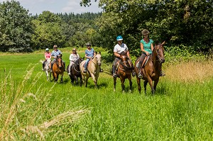 BALADE A CHEVAL, DOMAINE DES PIERRES JUMELLES, FREDERIC BONNAND, SAINTES GEMMES LE ROBERT, (53) MAYENNE, PAYS DE LA LOIRE 