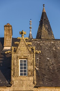 CHATEAU DE BOURGON, MONTOURTIER, (53) MAYENNE, PAYS DE LA LOIRE 