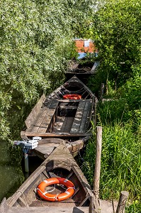 L'ESCUTE, BARQUE FLAMANDE TYPIQUE DU MARAIS AUDOMAROIS, ATELIER DES FAISEURS DE BATEAUX, SAINT OMER, (62) PAS-DE-CALAIS, FRANCE 