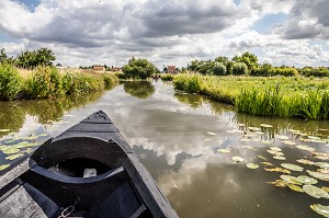 BALADE EN BATEAU, L'ESCUTE SUR LE MARAIS AUDOMAROIS, SAINT OMER, (62) PAS-DE-CALAIS, FRANCE 