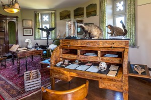 CABINET DE CURIOSITES, CHATEAU D'HARDELOT, CONDETTE, (62) PAS-DE-CALAIS, FRANCE 