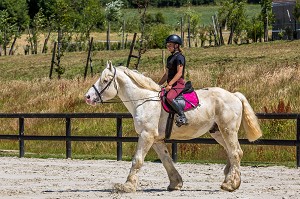 MAISON DU CHEVAL BOULONNAIS DEDIEE A LA RACE EQUINE BOULONNAISE, FERME DE SUZE, SAMER, (62) PAS-DE-CALAIS, FRANCE 