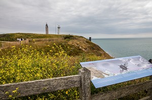 CAP GRIS NEZ, AUDINGHEN, (62) PAS-DE-CALAIS, FRANCE 