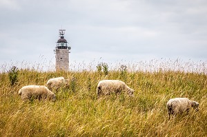 CAP GRIS NEZ, AUDINGHEN, (62) PAS-DE-CALAIS, FRANCE 