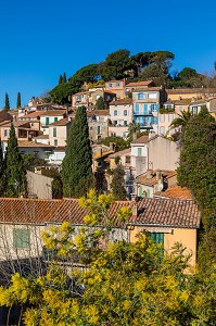 BORMES LES MIMOSAS 