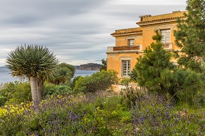 DOMAINE DU RAYOL, LE JARDIN DES MEDITERRANEES, LE RAYOL CANADEL SUR MER 