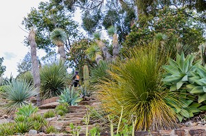 DOMAINE DU RAYOL, LE JARDIN DES MEDITERRANEES, LE RAYOL CANADEL SUR MER 