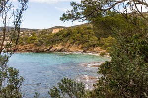 DOMAINE DU RAYOL, LE JARDIN DES MEDITERRANEES, LE RAYOL CANADEL SUR MER 