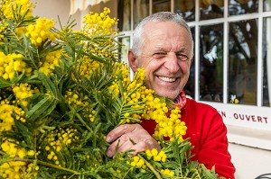 BERNARD VIAL, MIMOSISTE, HORTICULTEUR SPECIALISE DANS LA CULTURE DU MIMOSA, TANNERON 