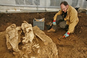 SITE DE FOUILLES  PREVENTIVE, NECROPOLE ROMAINE D'EVREUX, INSTITUT NATIONAL DE RECHERCHES ARCHEOLOGIQUES PREVENTIVES (INRAP). SEPULTURES MELANT OSSEMENTS D'HOMMES ET DE CHEVAUX, FRANCE 