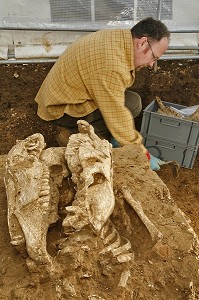 SITE DE FOUILLES  PREVENTIVE, NECROPOLE ROMAINE D'EVREUX, INSTITUT NATIONAL DE RECHERCHES ARCHEOLOGIQUES PREVENTIVES (INRAP). SEPULTURES MELANT OSSEMENTS D'HOMMES ET DE CHEVAUX, FRANCE 