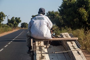 CHARRETTE A CHEVAL SUR LA NATIONALE ENTRE DAKAR ET SAINT-LOUIS, SENEGAL, AFRIQUE DE L'OUEST 
