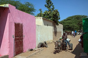 CHARRETTE TIREE PAR UN ANE DANS LES RUELLES DE LA COMMUNE DE MPAL, SENEGAL, AFRIQUE DE L'OUEST 
