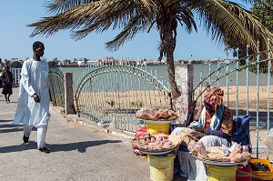 VENDEUSE D'ARACHIDES (CACAHUETES) AU BORD DU FLEUVE, SAINT-LOUIS-DU-SENEGAL, SENEGAL, AFRIQUE DE L'OUEST 