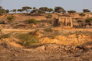 MOSQUEE AYANT SERVIE DE DECOR POUR UN TOURNAGE DE FILM DE BERNARD GIRAUDEAU AVEC RICHARD BOHRINGER, LES CAPRICES D'UN FLEUVE EN 1996, TONGON, SENEGAL, AFRIQUE DE L'OUEST 