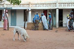 LES FEMMES DEVANT LE PUITS, VILLAGE PEUL DE GUELAKH, SENEGAL, AFRIQUE DE L'OUEST 