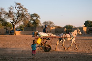 CHARRETTE ET VILLAGEOIS DE RETOUR DU TRAVAIL DES CHAMPS, VILLAGE TOUCOULEUR DE DEGUEMBERE, PROVINCE DE FANAYE DIERI, SENEGAL, AFRIQUE DE L'OUEST 